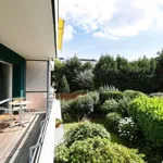 Rent 2 bedroom apartment of 55 m² in Düsseldorf