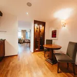 Rent 1 bedroom apartment of 50 m² in Frankfurt