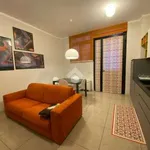 Rent 2 bedroom apartment of 60 m² in Bologna