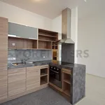 Rent 1 bedroom apartment of 57 m² in Pilsen