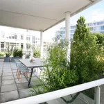 Rent 2 bedroom apartment of 105 m² in The Hague