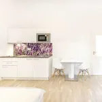 Studio of 27 m² in prague