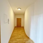 Rent 1 bedroom apartment of 51 m² in Chemnitz