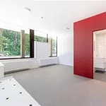 Rent 1 bedroom apartment in ANTWERPEN