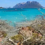 Single family villa via delle Ortensie 50, Murta Maria, Porto Istana, Olbia