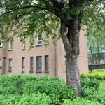 Flat to rent in Fairfield Place, Falkirk FK2