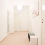 Rent 5 bedroom apartment in Rome