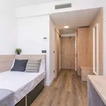 Rent 1 bedroom apartment in madrid