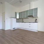 Rent 2 bedroom apartment of 56 m² in Gorechtbuurt