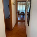 Bilocale arredato con terrazzo Centro