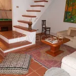 Rent 8 bedroom house of 250 m² in Orbetello