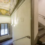 Rent 1 bedroom apartment of 45 m² in Florence