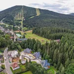 Rent 1 bedroom apartment of 38 m² in Harrachov