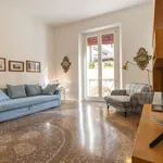 Rent 1 bedroom apartment of 55 m² in bologna