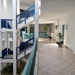 Rent 3 bedroom apartment in Port Elizabeth