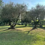 Rent 3 bedroom apartment of 100 m² in Treviso