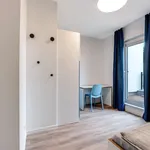 Rent 1 bedroom apartment of 22 m² in Berlin