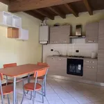 Rent 2 bedroom apartment of 55 m² in Piacenza