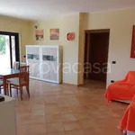 Rent 3 bedroom apartment of 95 m² in Belvedere Marittimo