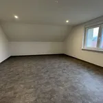  appartement avec 1 chambre(s) en location à Roppenheim