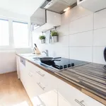 Rent 2 bedroom apartment of 904 m² in vienna