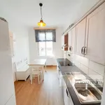 Rent 3 bedroom apartment of 80 m² in Capital City of Prague