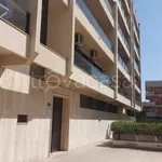 Rent 5 bedroom apartment of 80 m² in Foggia