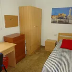 Rent a room in cordoba