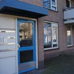 Huur 2 slaapkamer appartement van 60 m² in Arnhem