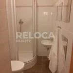 Pronajměte si 5 ložnic/e byt o rozloze 1072 m² v Prague