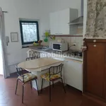 Rent 1 bedroom apartment of 55 m² in Florence