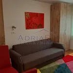 Rent 1 bedroom apartment in Grad Rijeka