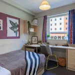 Rent 1 bedroom flat in Sheffield