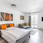 Rent 1 bedroom apartment of 45 m² in Frankfurt am Main