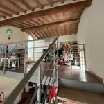 Rent 5 bedroom apartment of 100 m² in Siena