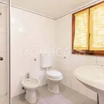 Rent 1 bedroom apartment of 40 m² in Firenze