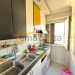 Rent 2 bedroom apartment of 54 m² in Roma