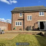 Detached house to rent in Ramsdale Walk, Eastfield, Scarborough YO11