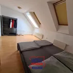 Rent 1 bedroom apartment of 69 m² in České Budějovice