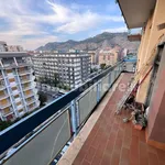 Rent 2 bedroom apartment of 60 m² in Palermo