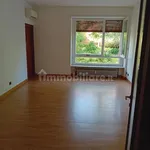 Rent 3 bedroom apartment of 80 m² in Rome