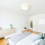 Rent 2 bedroom apartment of 64 m² in zizkov