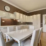 Rent 4 bedroom apartment of 150 m² in Prague