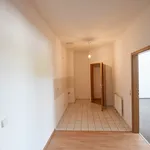 Rent 2 bedroom apartment of 49 m² in Chemnitz