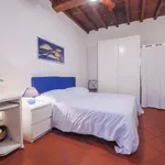 Rent 2 bedroom apartment of 66 m² in Florence