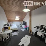 Exkluzivně nabízíme k pronájmu rodinný dům, 252m2 - Hostivice