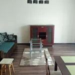 Rent 2 bedroom apartment of 52 m² in Krakow