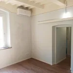 Rent 3 bedroom apartment of 70 m² in Pisa