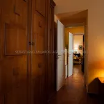 Rent 3 bedroom apartment of 110 m² in Foggia