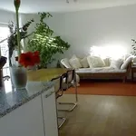 Rent 2 bedroom apartment in Basel